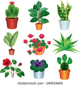 home plants vector set