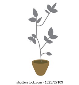 home pot plant flat illustration. Home furniture and decoration series.