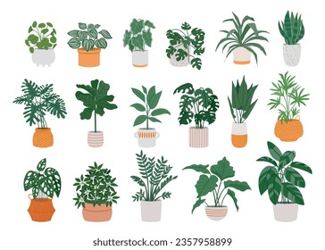 Plantas de macetas en casa. Instalaciones de caricatura en macetas para el interior. Mostera decorativa, palma en olla, ficus en cesta, pilea en jarrón. Plantas verdes interiores, follaje, hojas vectoriales. Colección de flores