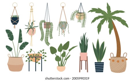 Home potted plants collection. Urban jungle trendy vector illustration. Tropical leaves, indoor flowers isolated on white background