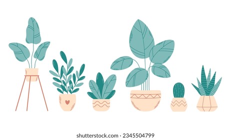 Home potted plants. Houseplants. Home interior. Vector illustration in flat style