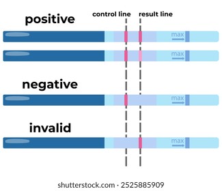 Teste de gravidez domiciliar e decodificação de seus resultados, infográfico para instruções de uso ilustração vetorial