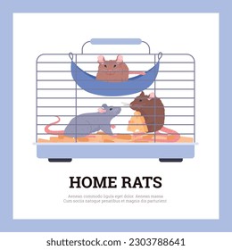 Home rat advertising poster, cute rats in cage - flat vector illustration. Funny rodent eating cheese in cage. Cute mouse banner. Domestic pet concept.