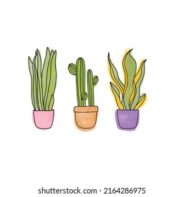 Home snake plants set, in pots. Cactus, snake plant, sansevieria isolated botanical design element