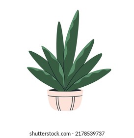 Hogar suculento con hojas grandes cultivadas en plantador. Casa de pozos para el interior natural, decoración de patio trasero. Decoración de la casa y de la oficina. Ilustración vectorial plana aislada en fondo blanco