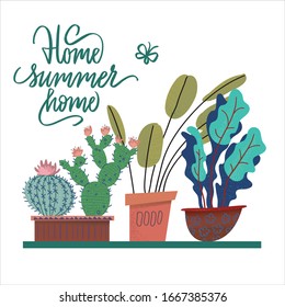 Home summer sweet home cute hand drawn lettering with house plants. Flower pots composition with letters. Card, stationary and t-shirt cartoon illustration.
