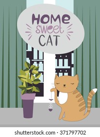 Home sweet cat