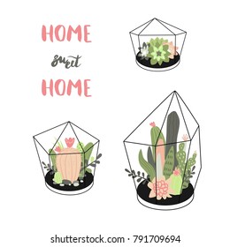 Home, sweet, home. Vector set with cute cactuses and succulents in terrariums. Illustration with home plants in scandinavian style.