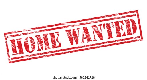 home wanted red vector stamp on white background