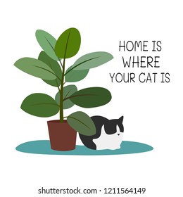 Home is where your cat is. Cat, homeplant and text. Vector illustration.