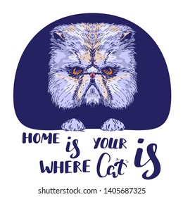 Home is where your cat is quote, hand drawn cat with lettering, design template for t-shirts and greeting cards