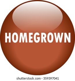Homegrown brown round glossy push button, gel like, isolated on white background, fully editable vector illustration EPS 10