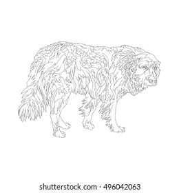 Homeless dog. Line drawing.