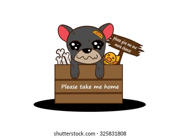 homeless dog (please take me home)