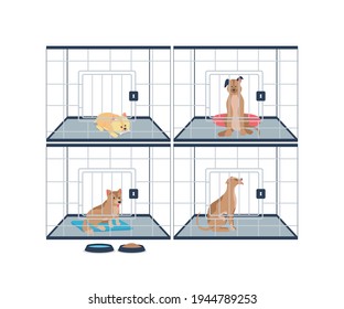 Homeless dogs in shelter cages flat color vector detailed characters. Centre for animals. Doggies for adoption. Veterinarian center isolated cartoon illustration for web graphic design and animation