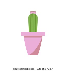 Homemade cactus in a pot. Vector illustration in a flat style, in pastel colors, eps 10 on a white background.