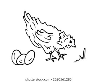 Homemade chicken and eggs, vector drawing in doodle style. Farm animals is a monochrome hand-drawn contour illustration. A Happy chicken for a home-made food brand