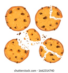 Homemade choco chip cookies with chocolate crisps isolated on white background. Bitten, broken, cookie crumbs. Vector illustration in cartoon flat style. Sweet food cookies icon. Biscuit, small baked.