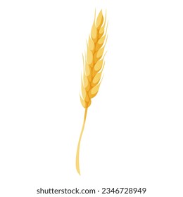 Homemade cooking wheat spikelet, spica. Kitchen bakery stuff, process of baking. Baking, bakery shop, cooking, sweet products, dessert. Vector for poster, banner, menu, cover, advertising