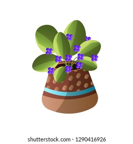 Homemade cute home plant in a beautiful colorful pot.