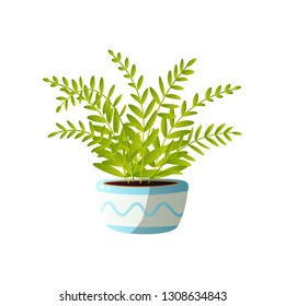 Homemade cute home plant in a beautiful colorful pot.