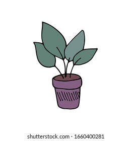homemade flower in a pot. stylized indoor flowers for the interior. Cartoon minimalistic style. Hand-drawn vector stock illustration. white isolated background. Succulents, Batanica, sticker palm