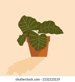 Homemade flowers and plants in a pot in the interior and in the garden. Vector illustration in summer warm colors