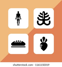 homemade icon. 4 homemade set with vegetarian, bread, bones and bone vector icons for web and mobile app