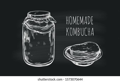 Homemade organic Kombucha concept. vector hand drawn