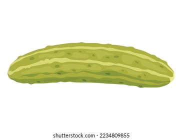 Homemade pickled cucumber. Clip-art of marinated food for packaging, label, menu, signboard or showcase. Fermented veggies, crunch gherkin with salt. Healthy vegetarian food