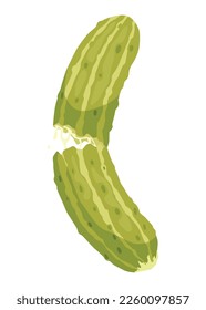 Homemade pickled cucumber. Clip-art of marinated food for packaging, label, menu, signboard or showcase. Fermented veggies, crunch gherkin with salt. Healthy vegetarian food