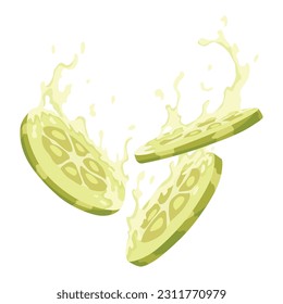 Homemade pickled cucumber. Clip-art of marinated food for packaging, label, menu, signboard or showcase. Fermented veggies, crunch gherkin with salt. Healthy vegetarian food