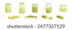 Homemade Pickled Cucumber or Gherkin Vector Set