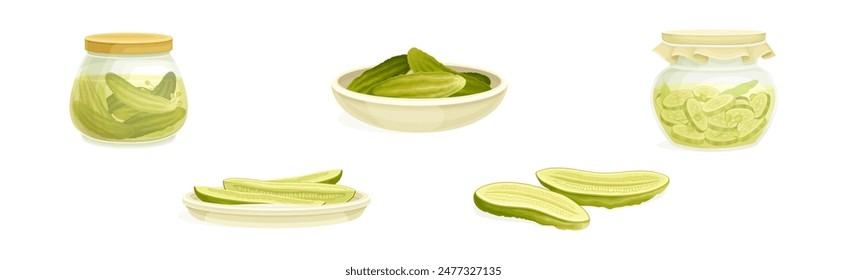 Homemade Pickled Cucumber or Gherkin Vector Set