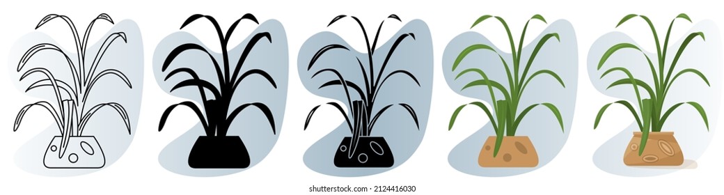 A homemade potted plant. A bush with thin long curved leaves. Vector icon, contour, silhouette, glyph, flat simple and complicated, abstract background with gradient, isolated