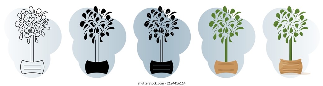 A homemade potted plant. High stem, small leaves, round crown. Vector icon, contour, silhouette, glyph, flat simple and complicated, abstract background with gradient, isolated