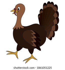 Homemade turkey. The bird is walking. Side view. Colored vector illustration. Isolated white background. Cartoon style. Thanksgiving day symbol. A fabulous character with a lush tail. Variegated color