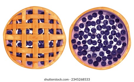 Homemde pie, tart top view whole with yogurt or cream an blueberry round bakery, dessert top view in cartoon style isolated on white background.