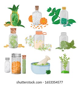 Homeopathic pills in glass jars and illustrations of herbs. Vector of homeopathic pills. Mint, flowers, herbs, chamomile and other natural flowers ingredients for making tablets pills.