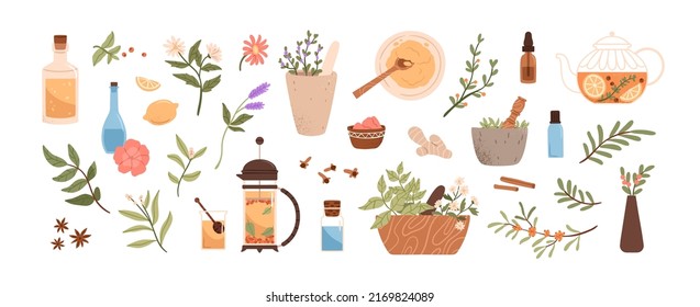 Homöopathie, Aromatherapie, traditionelle Naturmedizin. Kräuter, Kräutertee, homöopathische naturopathische Essentials, Heilpflanzen. Flache grafische Vektorgrafiken einzeln auf weißem Hintergrund