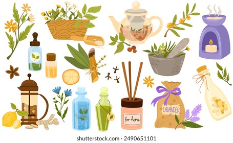 Homeopathy, aromatherapy, natural traditional medicine set. Herbs, herbal tea, homeopathic naturopathic essentials, healing plants. Flat graphic vector illustrations isolated on white background