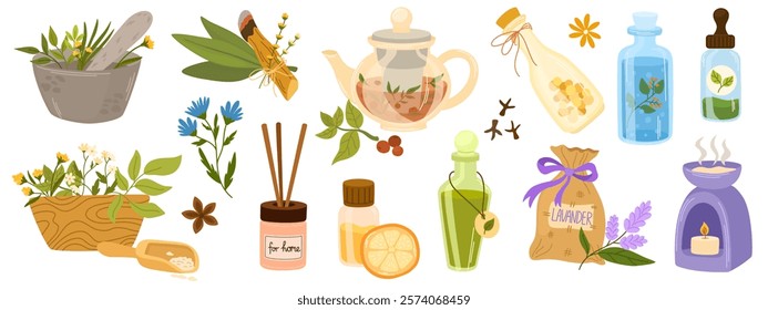 Homeopathy, aromatherapy, natural traditional medicine set. Herbs, herbal tea, homeopathic naturopathic essentials, healing plants, wildflowers. Health and self-care concept. Vector Illustration.