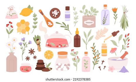 Homeopathy supplement and herb medical set. Beauty medicine cosmetic, alternative herbal pharmacy. Aromatherapy and wellness racy vector elements