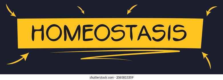 homeostasis hashtag text, Vector illustration.