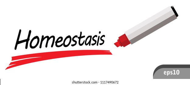 homeostasis, red marker pen