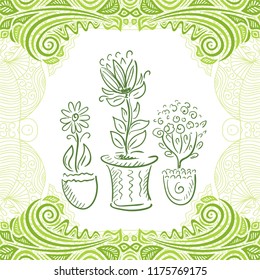 Homeplants. Vector illustration