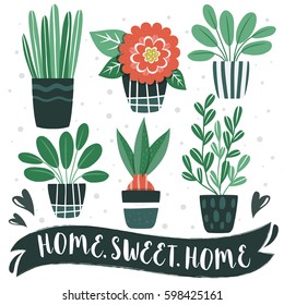 HOME.SWEET.HOME. Set of cute Flowers in vases. Vector collection. House plants.