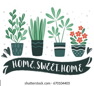HOME.SWEET.HOME. Set of cute Flowers in vases. Vector collection. House plants.