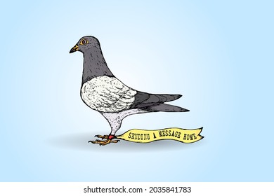 A homing pigeon bird with the message: Sending a message home, tagged to its feet. Hand drawn vector illustration.