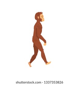 Homo Erectus, Biology Human Evolution Stage, Evolutionary Process Vector Illustration